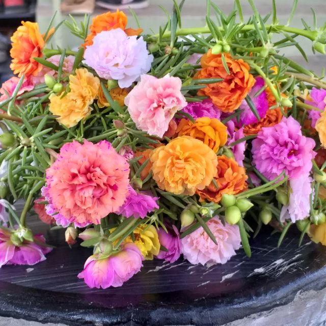 Rose Jepun Carnation Mix 100keratan Shopee Malaysia