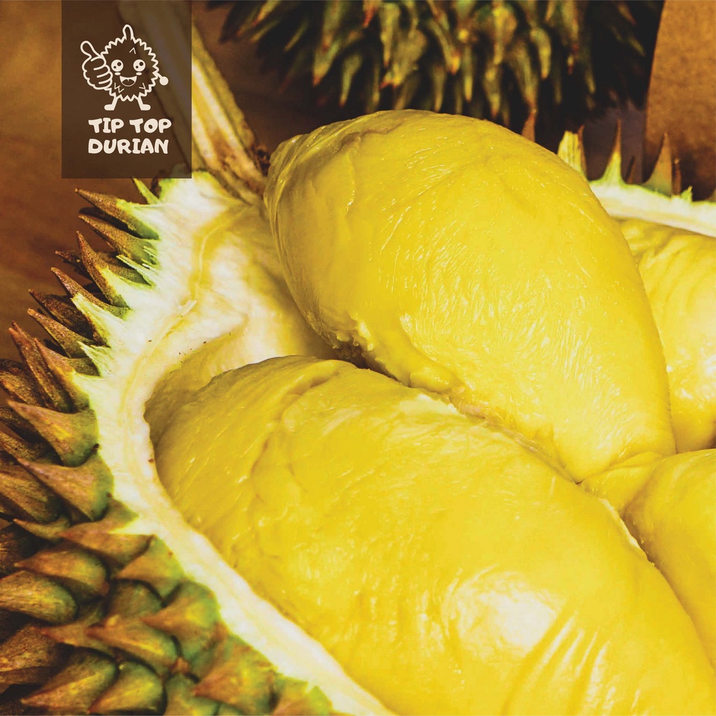 Tip top durian