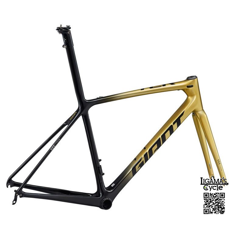 tcr disc frameset