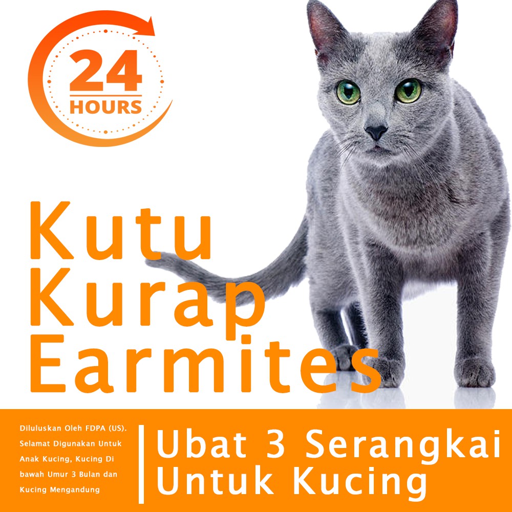 ubat kurap kucing - Prices and Promotions - Nov 2021  Shopee Malaysia