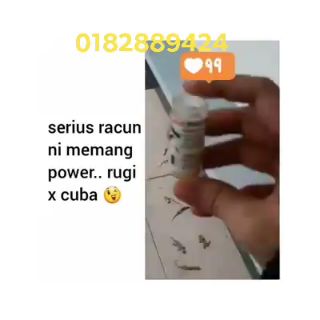 Ubat cicak berkesan no 1  Shopee Malaysia