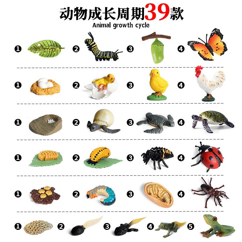 My Image 11