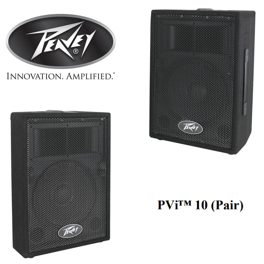 speaker pvi 15 inch