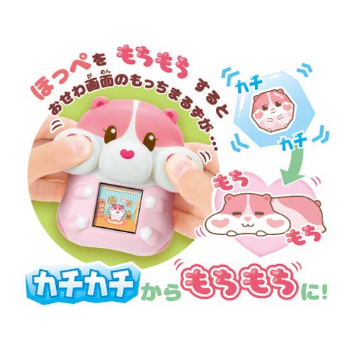 electronic guinea pig toy