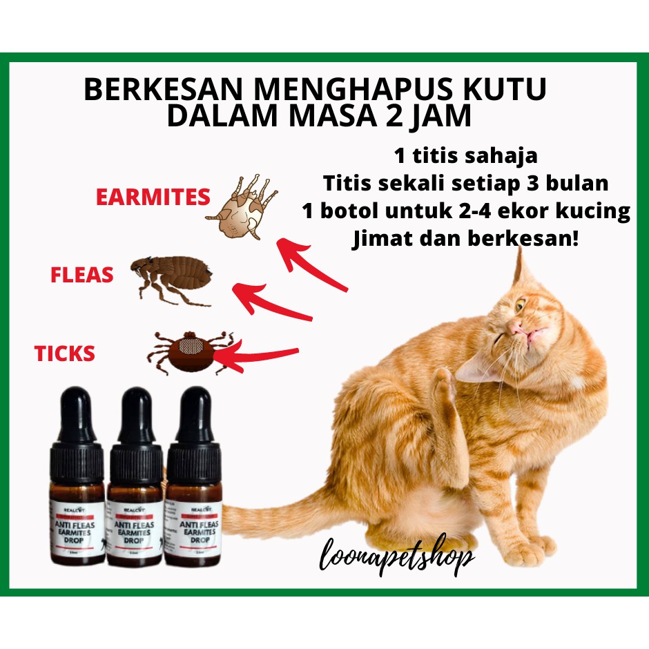 Kutu Earmites Antifleas Telinga Kucing Cat 2.5ml (4-8 Ekor Kucing)