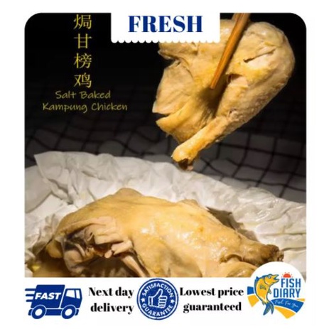 【Penang area only】🔥🔥 Salted Kampung Chicken 原味盐鸡 （土鸡/ 甘榜鸡）800g +- (FREE DELIVERY for purchase RM120++) PENANG AREA 🚚