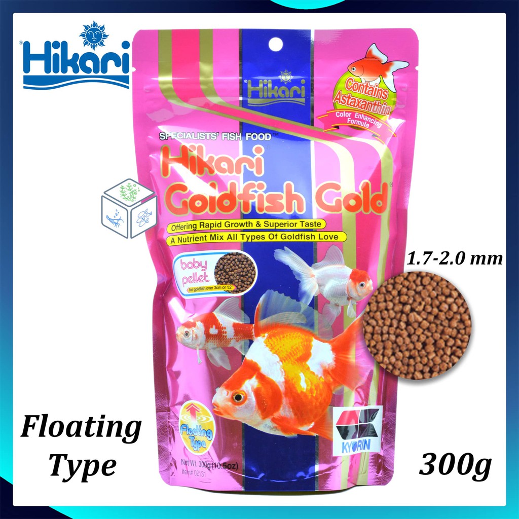 hikari goldfish gold