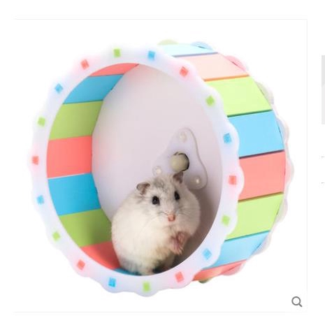 guinea pig running wheel