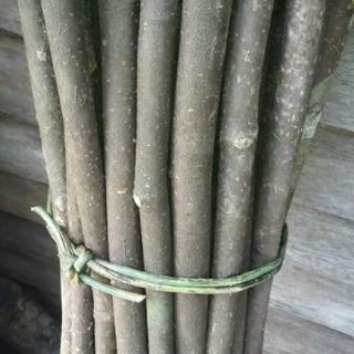 Kayu tas kayu penunduk kayu panas kayu limpanas kayu luz Kayu tas kayu penunduk kayu panas kayu limpanas kayu luz