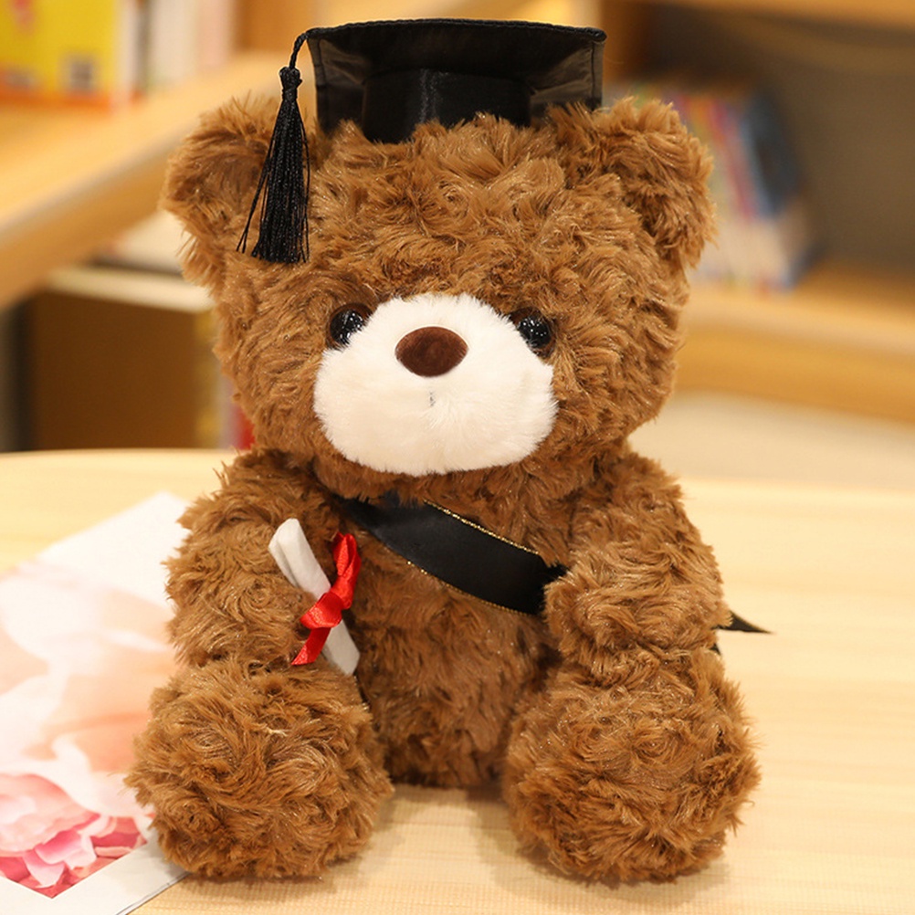 Deep Brown 18 Cm Papiteready Stock Graduación Dr Bear 