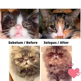 Ubat Selsema , Demam & Batuk Kucing PUTRAVET Anti-Flu 