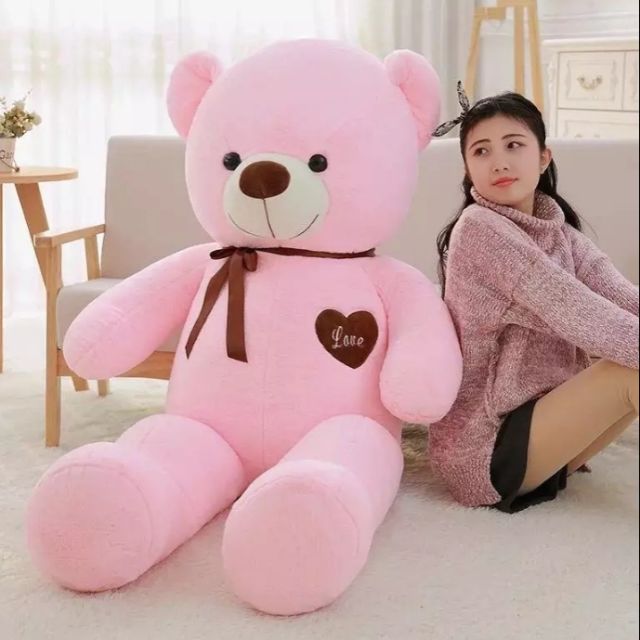 teddy bear pink colour