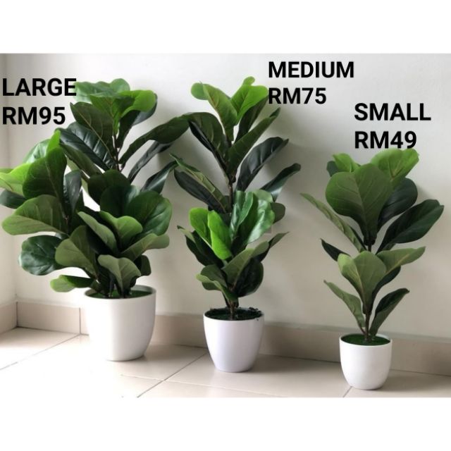 Deco Pokok Hiasan Dalam Rumah Pagar Rumah Deco Pokok Hiasan Dalam Rumah Pagar Rumah