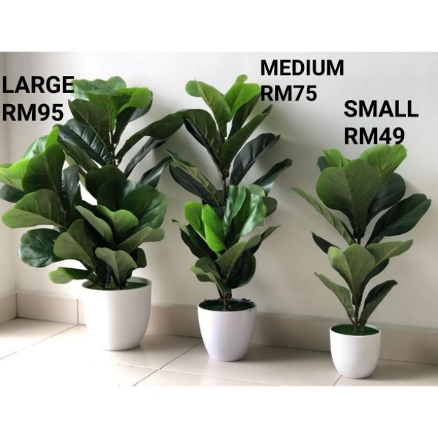 Artificial fiddle fig pokok  ketapang palsu home 