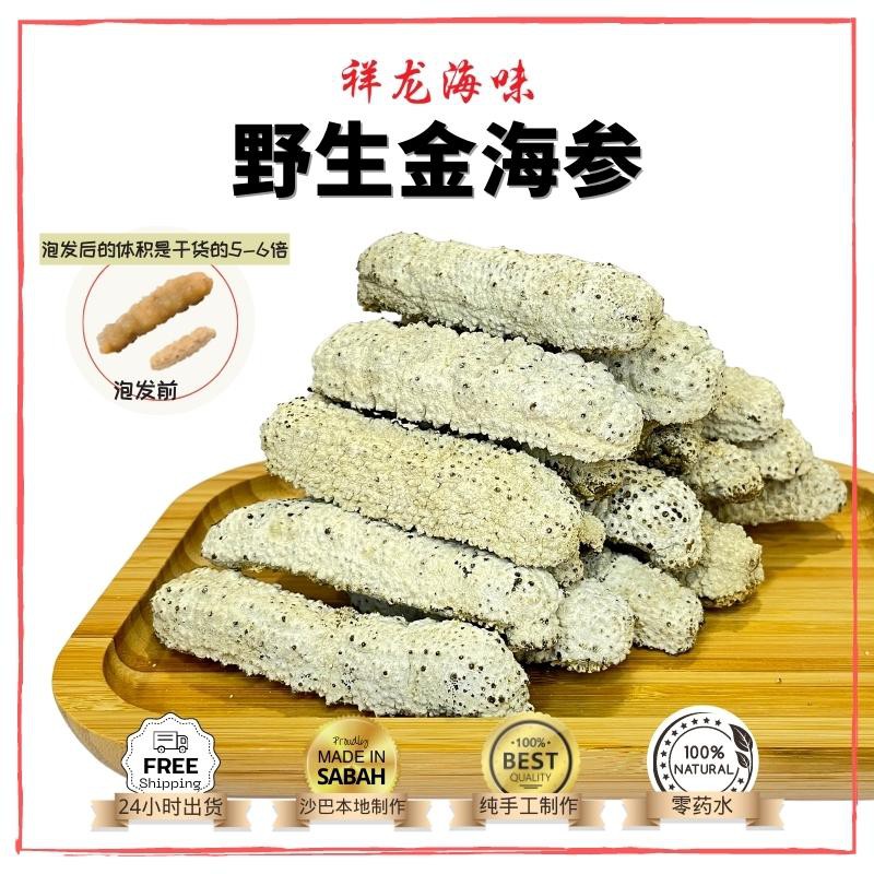 沙巴野生 金海参 (100%干货 野生 黄肉参 海参 Sea cucumber) 沙巴 原产地 海味 批发 零售 Dry Seafood Dried Gamat Asli