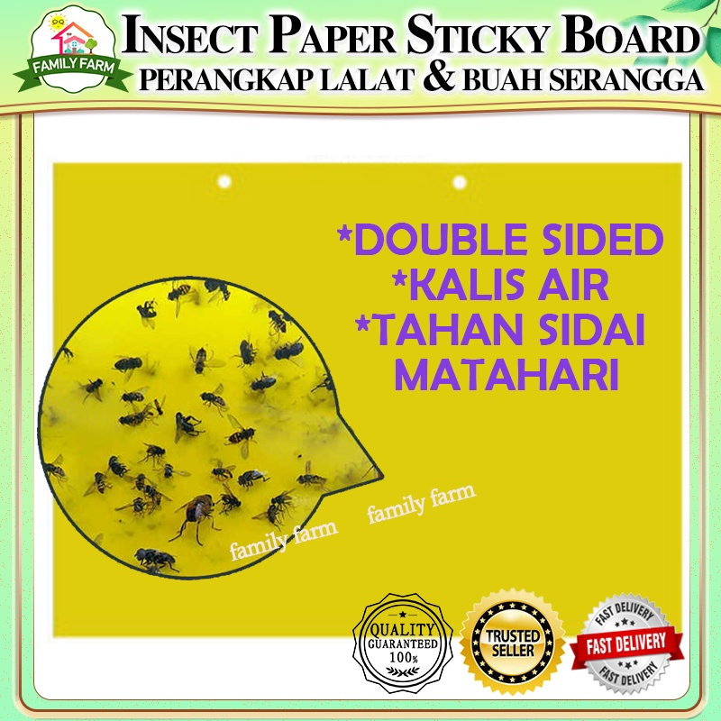 Insect Paper Sticky/perangkap Lalat Dan Buah Serangga Siap Dengan Gam ...