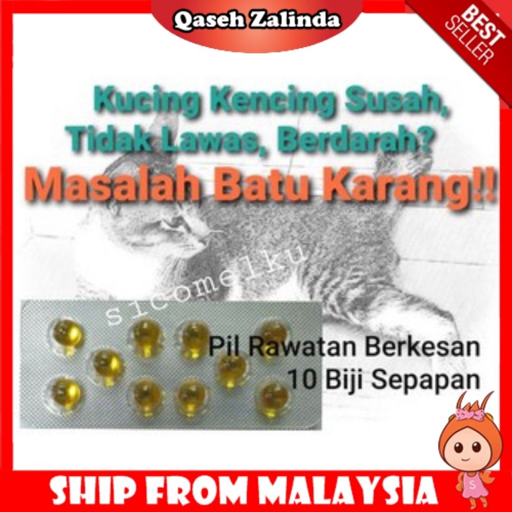 Ubat Batu Karang Kucing Urine Stone Lawas Kencing Rowatinex 10 Biji Shopee Malaysia