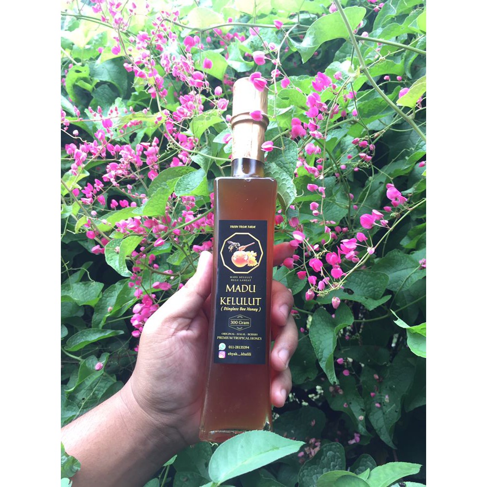 MADU KELULUT HULU LANGAT 100% ASLI