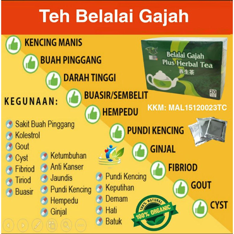 Teh Daun Belalai Gajah Penawar Masalah Kesihatan Penawar Ketumbuhan Kawal Diabetiss Tekanan Darah Tinggi Shopee Malaysia