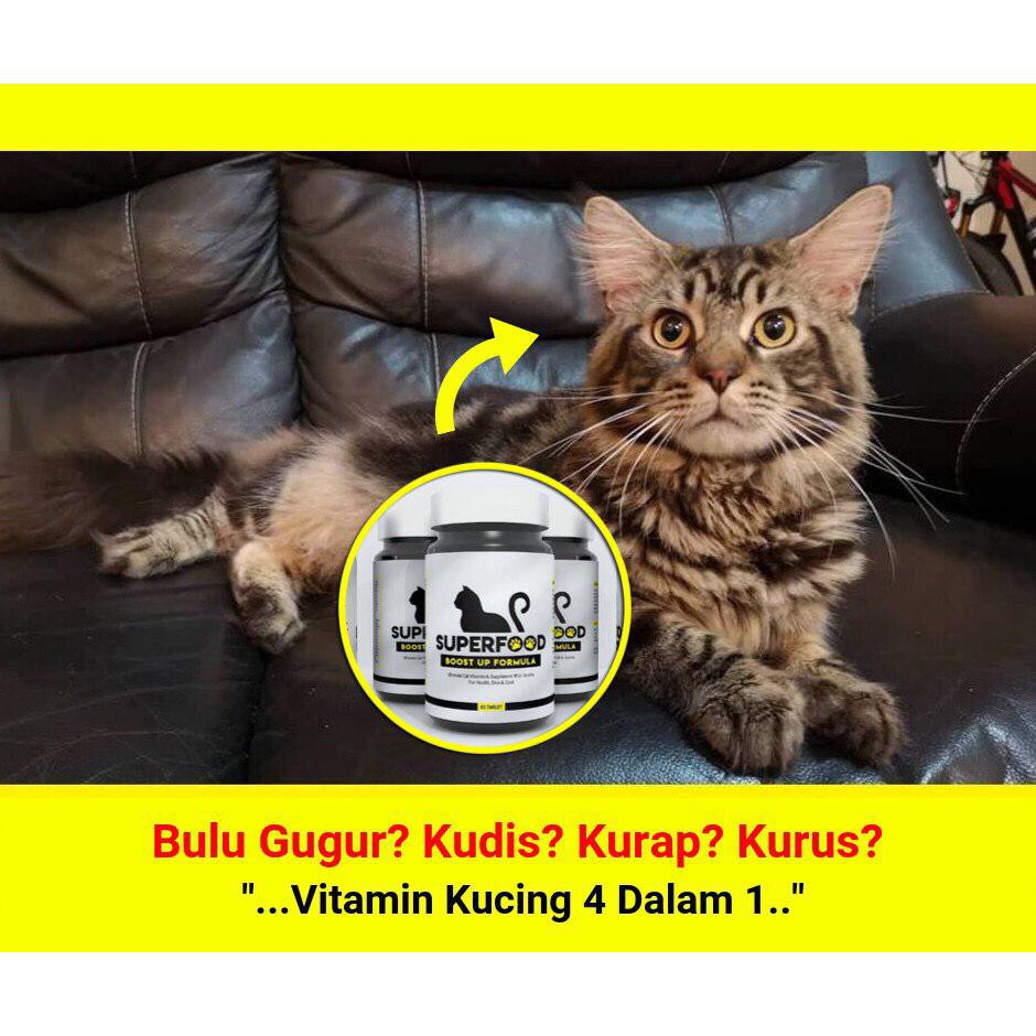 SUPERFOOD Vitamin Supplement Kucing (60 Biji)  Shopee Malaysia