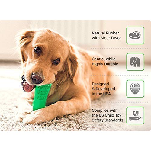 dog toothbrush chew toy