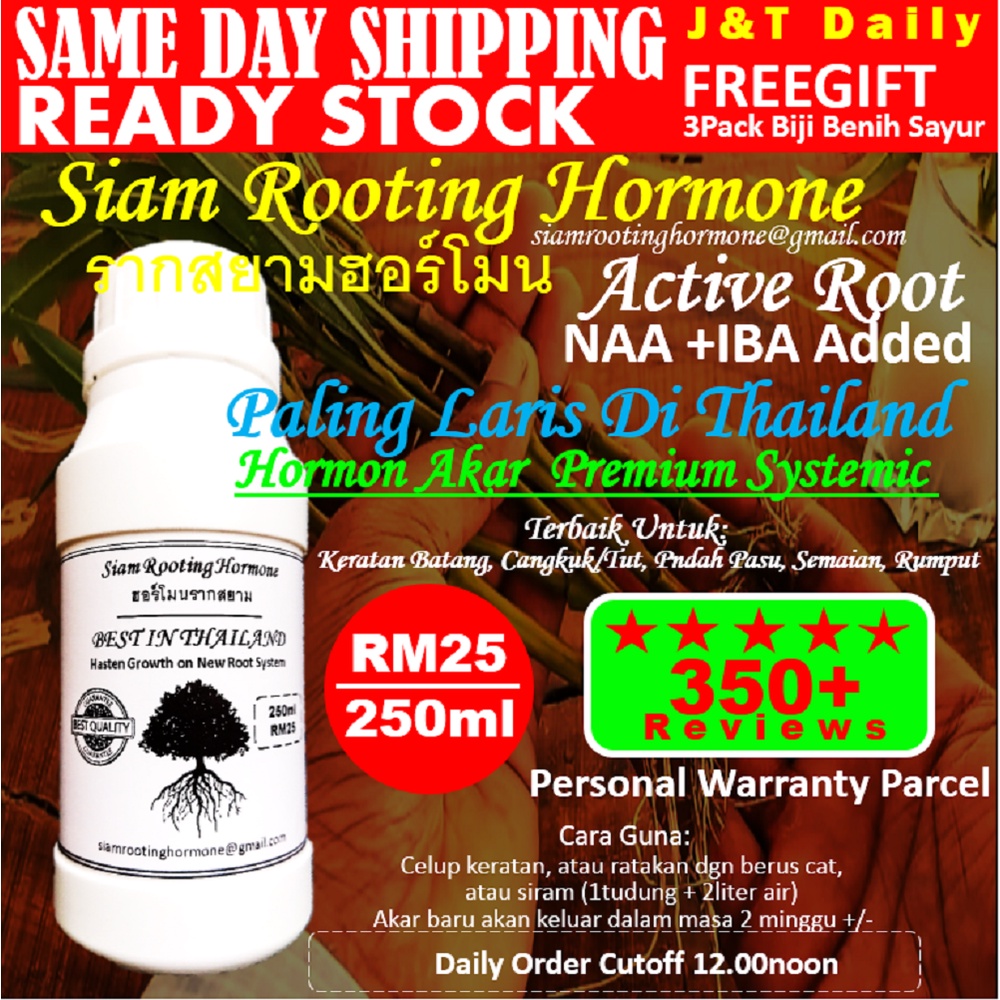 Buy Siam Rooting Hormone Active Root Baja Penggalak Akar Foliar Fertilizer Keladi Caladium Ros Rose Orkid Orchid Succelent Seetracker Malaysia