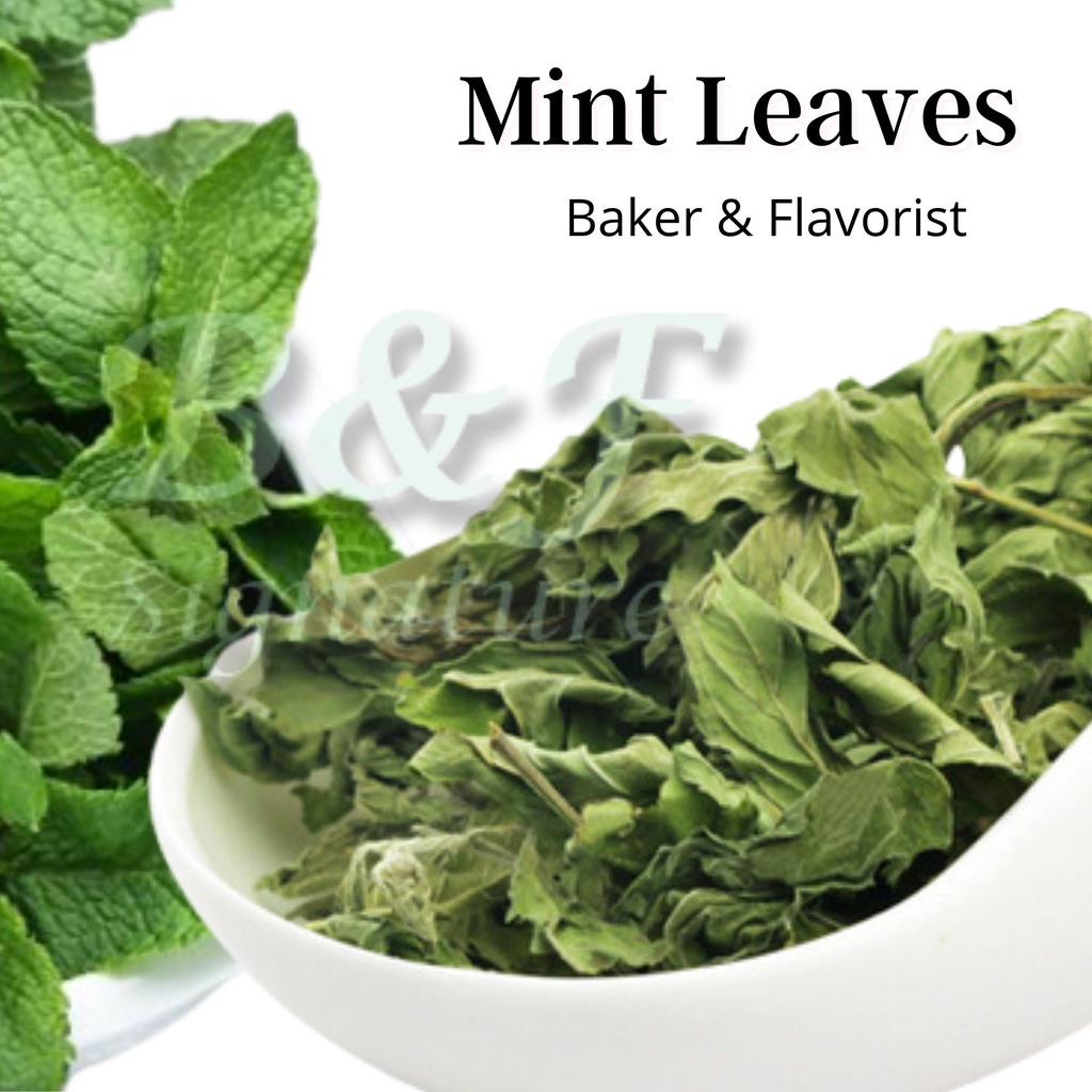 mint leaf Prices and Promotions Jan 2023 Shopee Malaysia