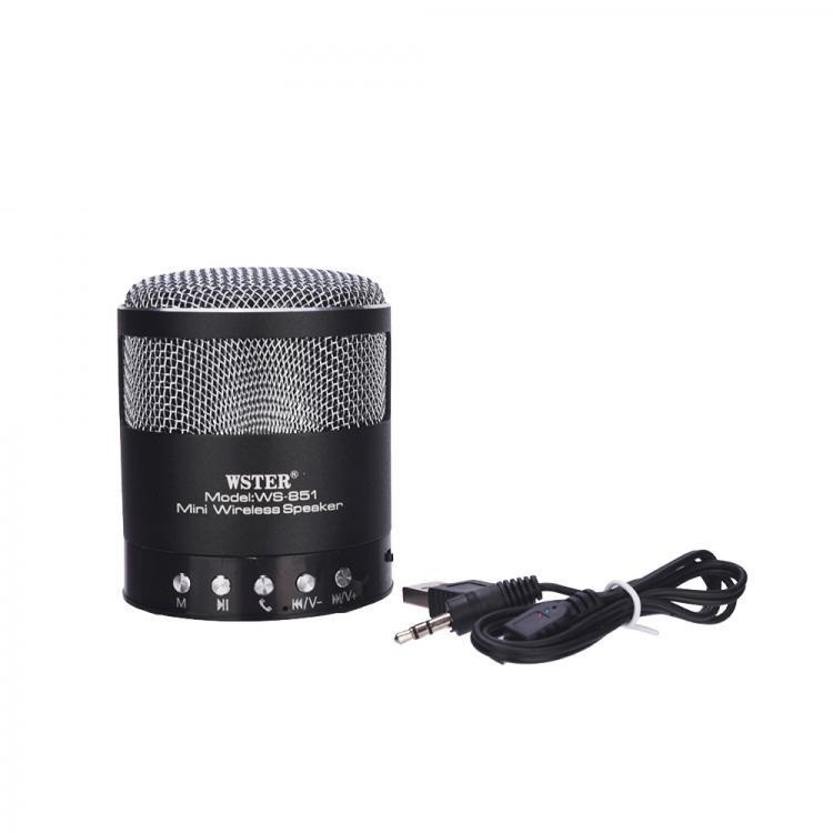 wster wireless speaker