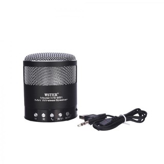 wster mini speaker
