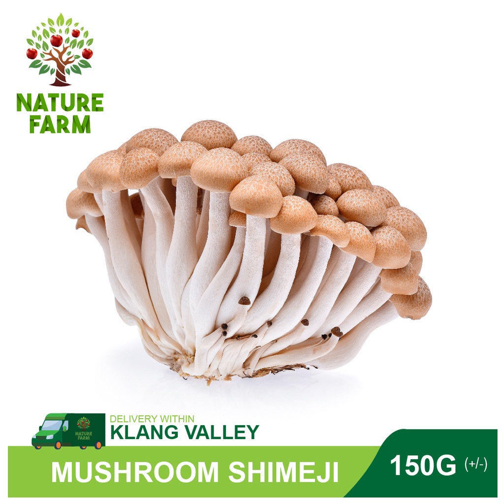 Nature Farm Mushroom Shimeji Brown (150G+/PKT) Shopee Malaysia