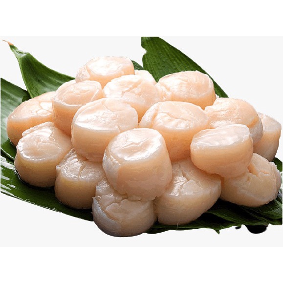 Nama Hotate Sashimi Grade Scallop Shopee Malaysia