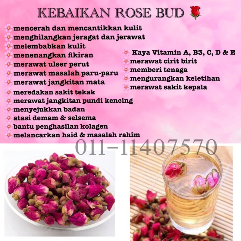 Premium Rose Bud Australia Shopee Malaysia