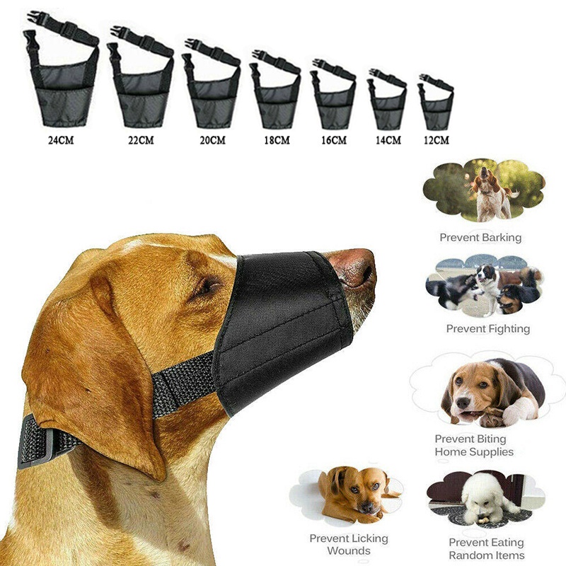 Muzzling Dogs To Stop Fighting