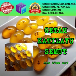 Buy 👉rau getah katilayu merah menjadi batu👈  SeeTracker Malaysia