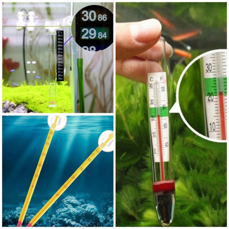 Thermometer Aquarium alat cek suhu air ikan aquarium 