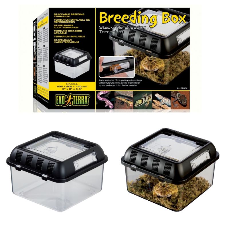 Exo Terra Reptile Breeding Box Small Transport Box Quarantine Box
