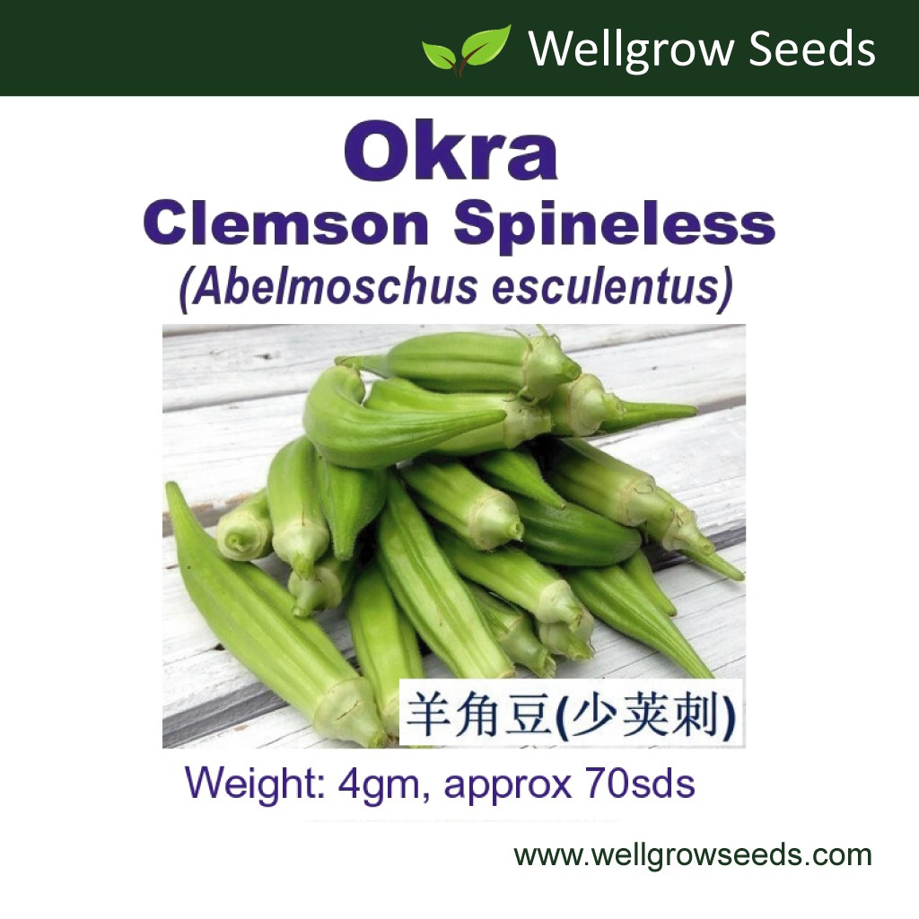 Okra Clemson Spineless Seeds 4gm Approximately 70sds ç¾Šè§'è±† å°'èšåˆº Biji Benih Kacang Bendi Shopee Malaysia