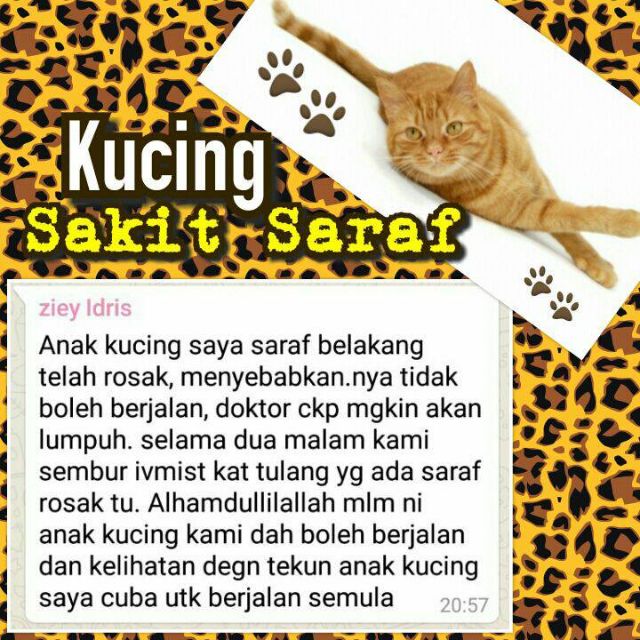 UBAT KUTU KUCING KURAP KUCING SAKIT MATA / ringworm cat / kucing 