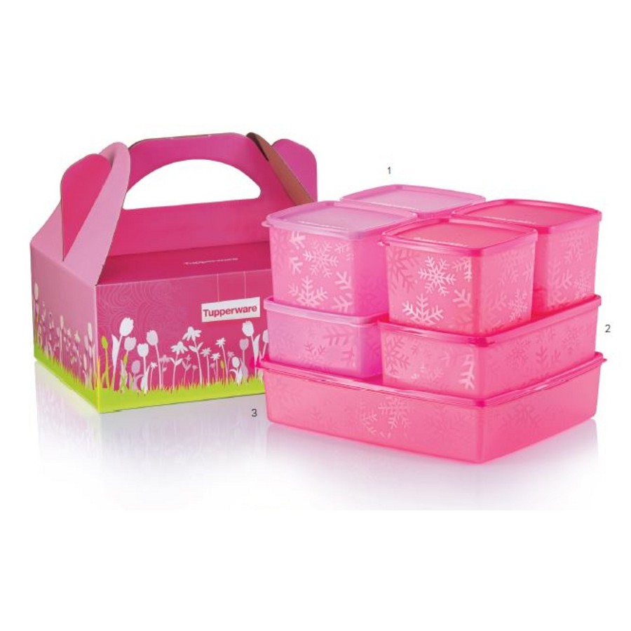 Tupperware Snowflake Set (with Gift Box)