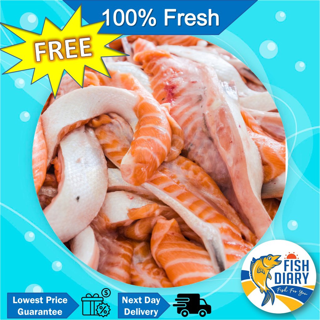 【Penang area only】Salmon belly 三文鱼肚/三文鱼腩 500g (FREE DELIVERY for purchase RM120+)