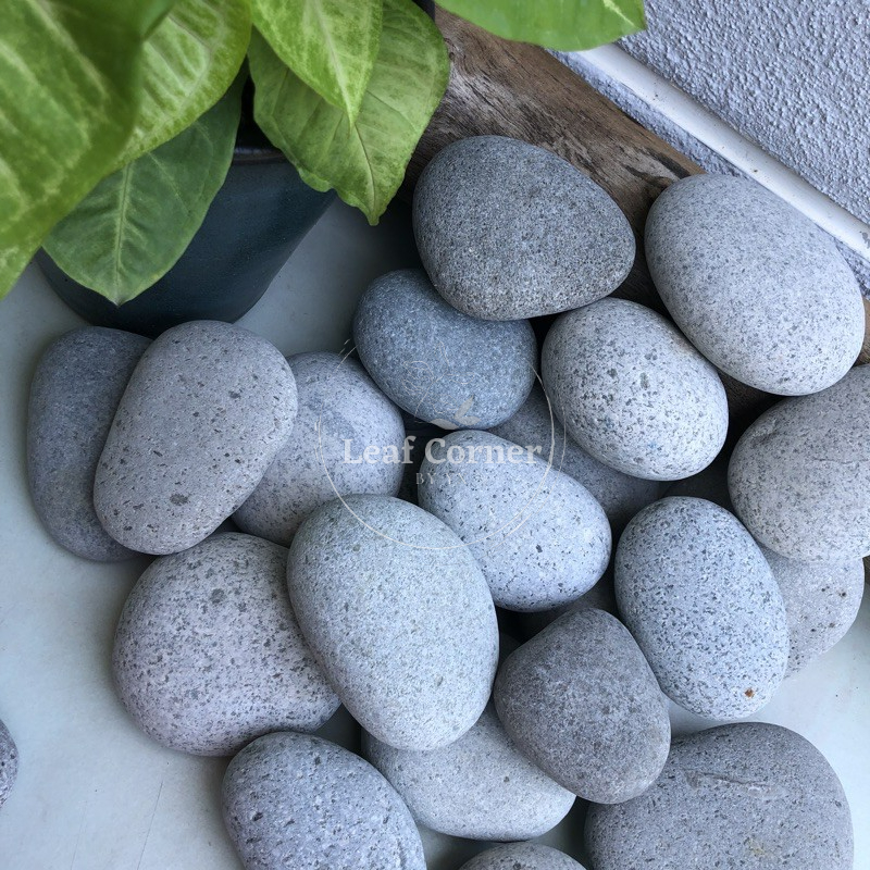 1kg 5kg Pebble Stone Rock Grey Stone Pebbles Gardening Rock Batu Ready Stock 10cm-12cm 鹅卵石 Garden Decoration no