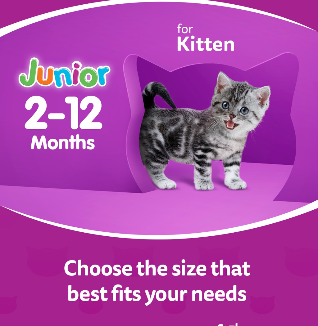 WHISKAS Junior Mackerel Flavor with Milk Kitten Food, 1.1 kg. Dry Cat