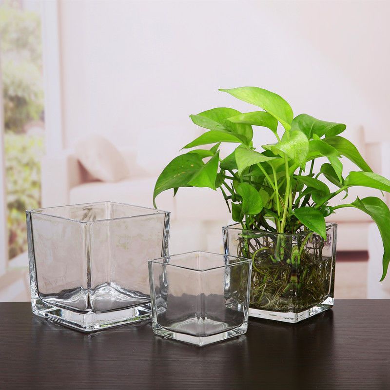 Simple Hydroponic Flowerpot Square Glass Vase Transparent Scindapsus Aureus Aquatic Plant Vessel Turtle Jar Decoration Flower Arrangement