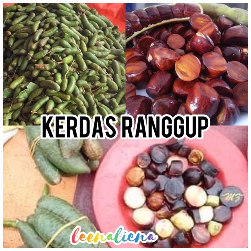 Buah Kerdas Berkulit Tanpa Kulit Asingkan Order Shopee Malaysia