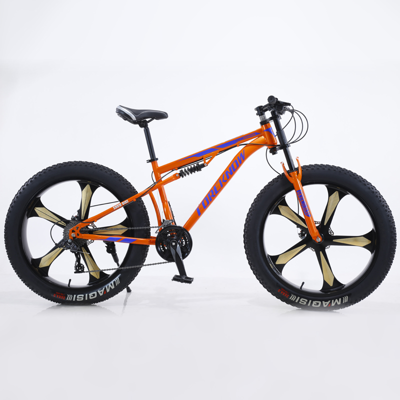 adult fat bike