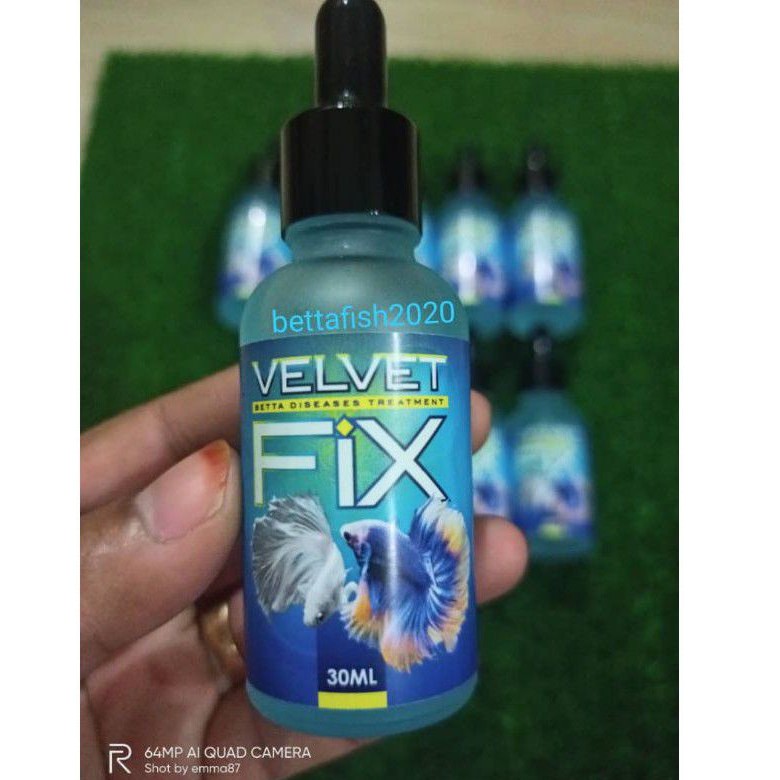 🔥velvetFix-betta diseases treatment untuk merawat penyakit velvet untuk ikan laga