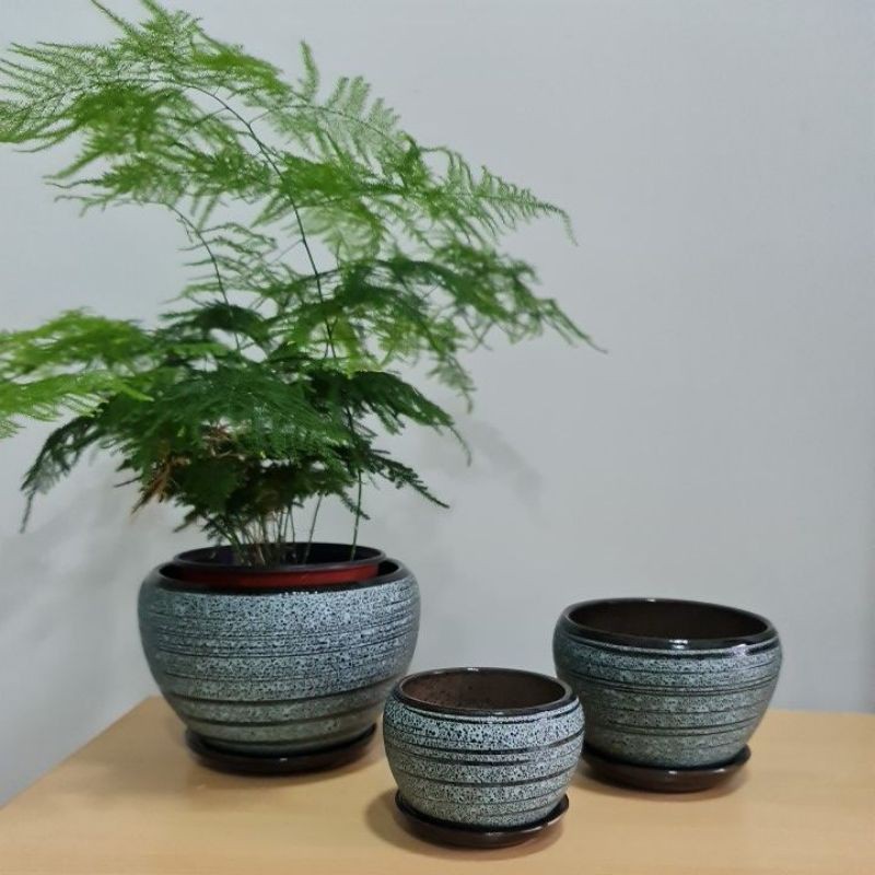 Green Blue Apple Ceramic Pot Pasu Gubahan Orkid Orchid Vase Clay Pasu Ceramik