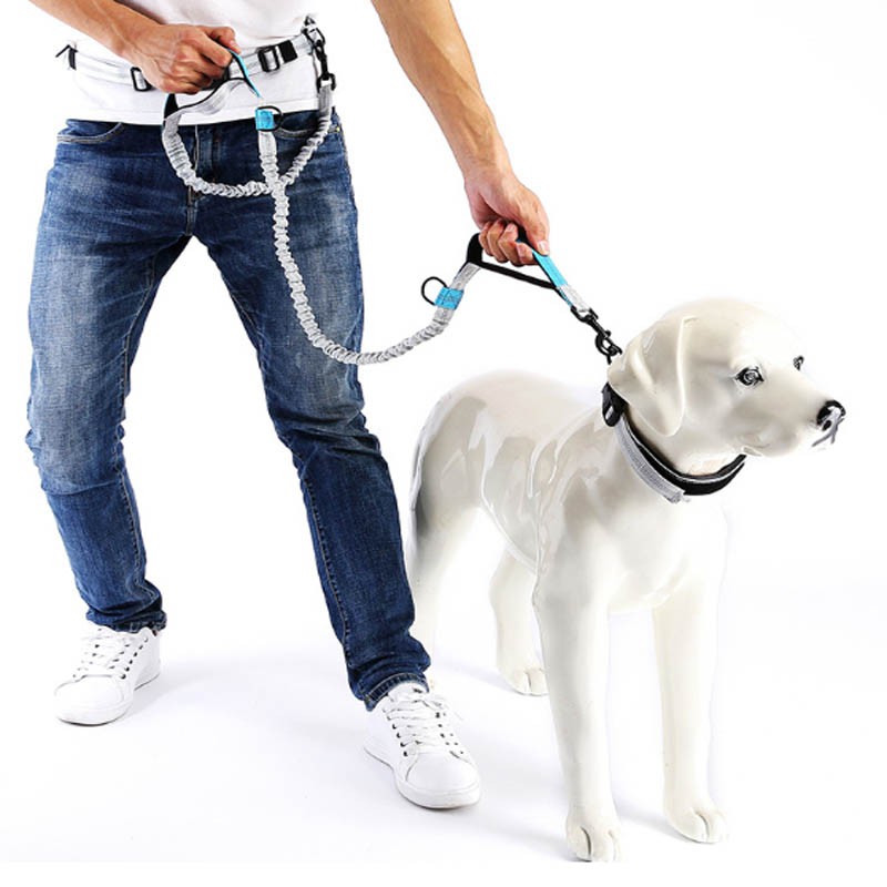waist dog leash