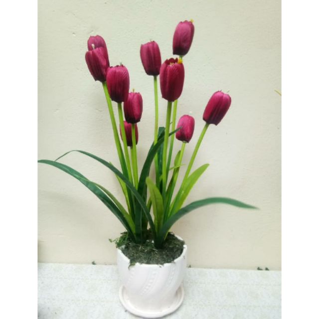 Bunga Tulip Hiasan Murah Shopee Malaysia