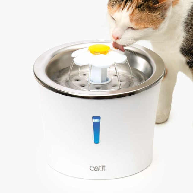 Buy Hagen Catit 2.0 Flower Water Fountain, Cat / Pet Drinker 